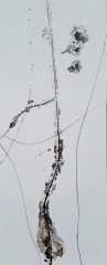 "Im Garten der Sonja Maria K.", 150 x 60 cm VERKAUFT